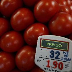 El tomate ecológico de Agrieco participa en un proyecto de investigación de la Unión Europea