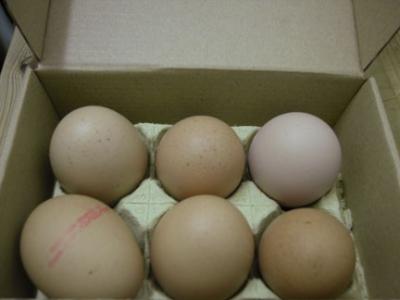 Significado del código de los huevos