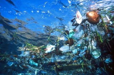 Científicos estudian zona de deshechos plásticos en el Pacífico