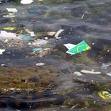 Los plásticos se degradan con rapidez en el océano