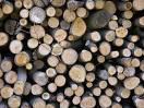 Más madera, menos CO2